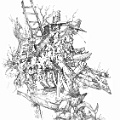 Don Art_screenview_1500dpi (225)_sm